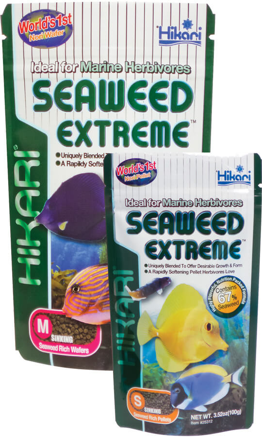 Hikari Seaweed Extreme Small Pellets 3.52oz