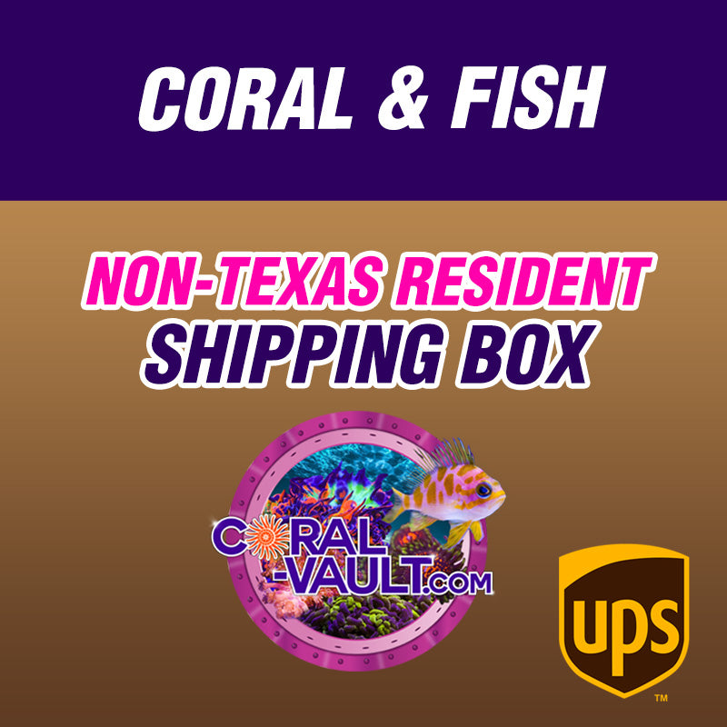 Coral & Fish | Shipping Box | Outside Texas