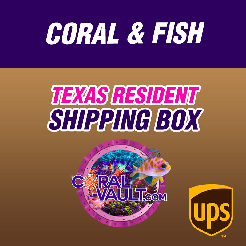 Coral & Fish | Shipping Box | Texas Only