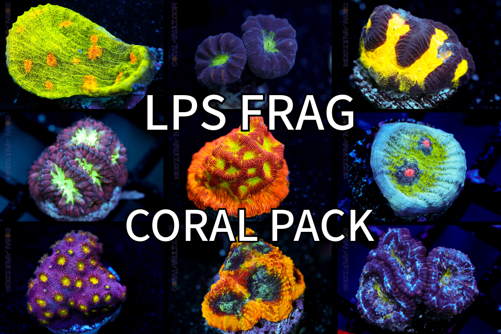 LPS Frag Pack
